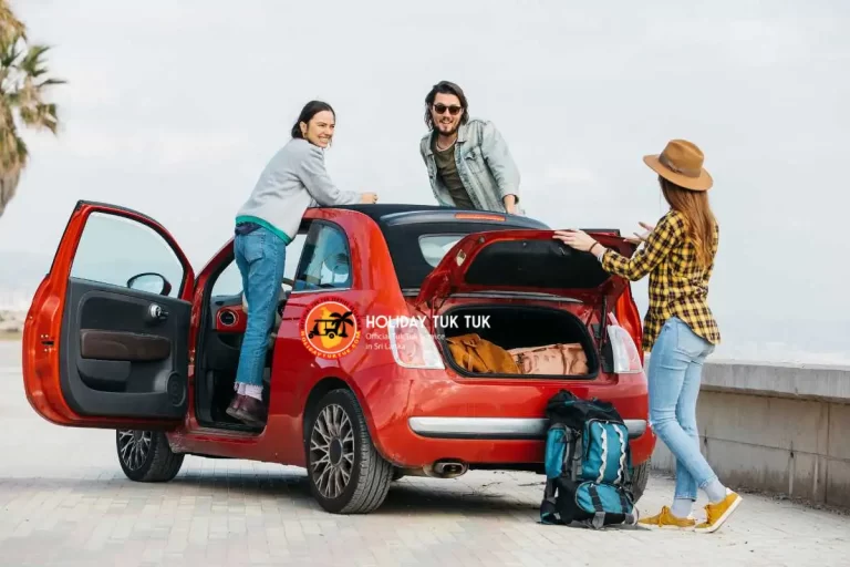 Family car rental service